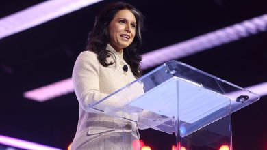 Tulsi Gabbard klapt uit de school: Deep State saboteert vrede in Oekraïne