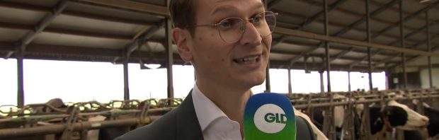 Stikstofminister Van Essen (D66): boeren kunnen met minder dieren ook ‘gewoon goed geld verdienen’